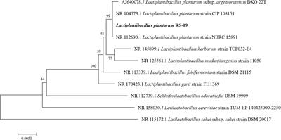 Spatial and Temporal Persistence of Fluorescent Lactiplantibacillus plantarum RS-09 in Intestinal Tract